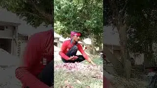 Hey Raja itna kamallata sona ko kam hua