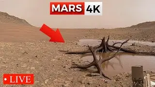 Марсоход NASA Perseverance передал впечатляющие панорамные кадры на 360&deg; с &laquo;ярким ангелом&raquo;! Марс ...