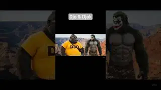 Djo et Djok , la chute des corps.
