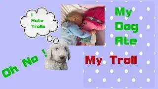 Happy Land  Oh No ! Standard Poodle My Dog Ate My Troll