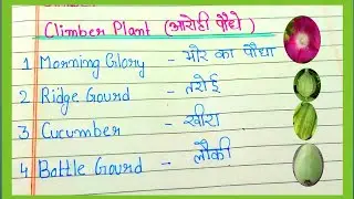 15 Climber plants name in english and hindi|| climber plants name// 15 आरोही पौधे के नाम // plants