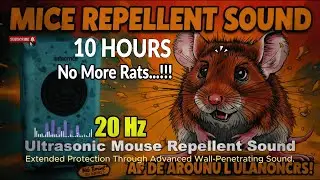 🔊 10 Hours Ultrasonic Mouse Repellent Sound | Extended Audio Emission   Ambient Background Tone