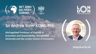 Net Zero Delivery Summit 2025: Sir Andrew Steer KCMG