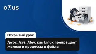/proc, /sys, /dev: How Linux Turns Hardware and Processes into Files