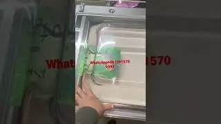 Green tea vacuum packing machine