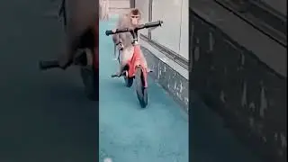 monkey cycle shorts video//bandar bycycle comedy video// #shorts #viral