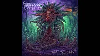 Death Metal 2022 Full Album 