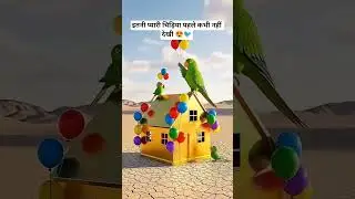 #shortsviral #aivideo #tota ##birdshorts#cutebird#birdvideo#birdlove