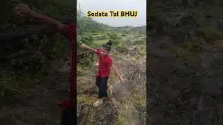 SEDATA BHUJ