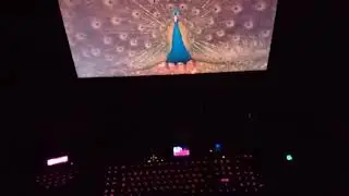 Logitech G19 Linux Driver: Ambient Light