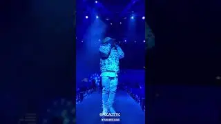 Focalistic  Tjaro Shutdown Pure White Dubai