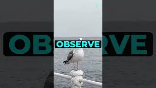 Упражнение по защите от энергии