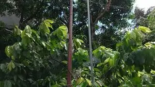 IT'S A WINDY SUNNY MONDAY OF JUNE 2.. @bestman5665 #sunnyday #tuesdayvlog #weatherupdate