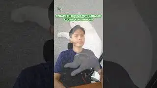Benarkah Kucing Putih Bodoh? #kucing