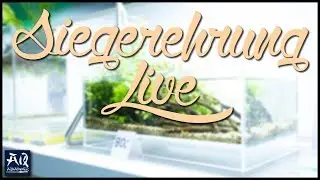 TAotPA Siegerehrung (Livestream) | AquaOwner