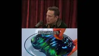 Elon Musk Talks About Solar Panels On Tesla #elonmusk #tesla #joerogan #satisfying #shorts