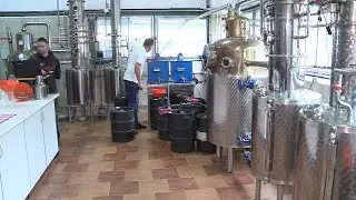 Zajlik a pálinkafőzés
