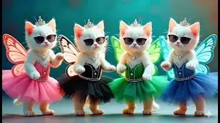 बिल्ली डांस | Funniest Cute Cat Dance🤣💃Best Cat Videos for Fun #funny #dancingcat @CatVibeZone1