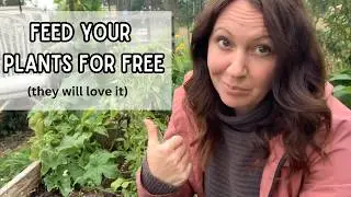 This one thing will improve soil fertility and boost plant growth