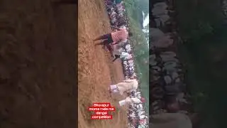 #bollywood #song #music #dangal competition bhuvapur morna mela #lifeisbutadream