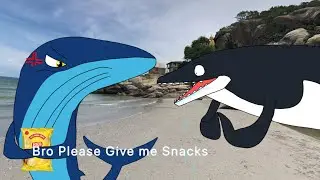 Perucetus Want Some Lays Snacks 