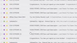 VSN Extreme Leads Traffic and Income - VSN Extreme