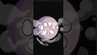 How to check Paws Allocation | Genius Hub