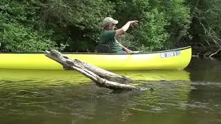 Great Getaways: Paddling the AuSable River (Grayling MI)