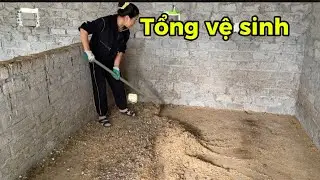 Cô Thơm Tổng Vệ Sinh Chuồng Cho Các Chú Gà ..!! 