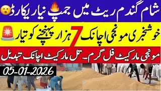 Today Wheat price in punjab//گندم کا ریٹ2026/munji makki till sarso/Galla mandi rate today