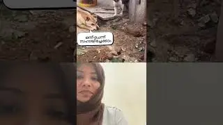 This is unity 😂#viralvideo #animals #funny #trending #ytshorts