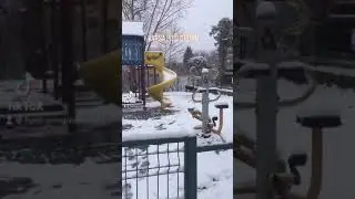 Paşa eskobar