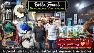 Imported Aquarium Fish & Exotic Betta 🐠| Planted Tanks | Betta Forest Vijayanagar Tour in ಕನ್ನಡ 💛❤️