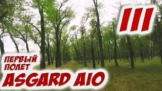 ✔ Еще тепленький! Первый полет на свежем квадрокоптере. [Asgard AIO + Aokfly FR2205]