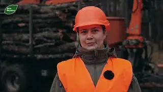 Ліси України