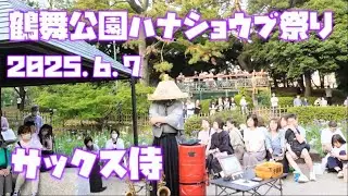 サックス侍🎷鶴舞公園ハナショウブ祭り🏮👘✨2025.6.7