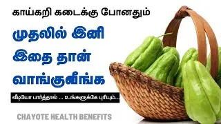 The Surprising Chow Chow Health Benefits  (Chayote) You Never Knew | 24 Tamil Health