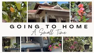 വീട്ടിലേക്കൊരു യാത്ര…Home Vlog
