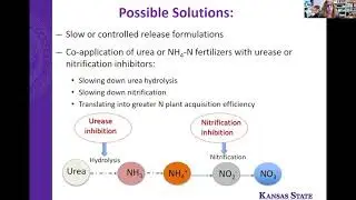 Manipulating reaction pathways to optimize nutrient availability