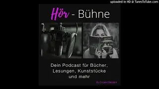 Flut-Licht-Gef&uuml;hle - von Stefan Mellentin - ein Gay-Romance-Fussball-Roman