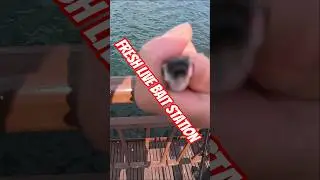 Hands-Free Fishing POV at Sembawang Jetty! (Insta360 GO Ultra) 🎣 #fishing #singapore ##pov #creator