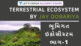ભૂમિગત ઇકોસીસ્ટમ ભાગ - 1 | Terrestrial Ecosystem (Environment) | GPSC 2020 | Jay Dobariya