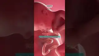 Alasan Ibu Hamil Sering Buang Air Kecil
