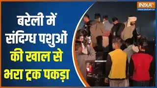 Bareilly News  बरेली में खालों से भरे ट्रक को पकड़ा, गौरक्षक दल ने शक होने पर हाईवे पर रोका ट्रक