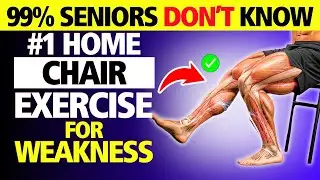 #1 Chair Exercise for Seniors at Home! (Doctors Recommend This!)