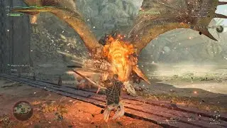 [MH:Wilds] Arena Quest - Rathian | SnS Solo | 4'58''59 A Rank