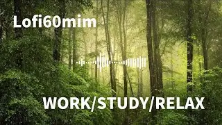【作業用BGM】自然の音で、朝を整える｜60分の集中と癒しのLofi BGM（Rain & Forest）