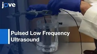 LIPUS for Sonic Sensitivity of Untreated and Treated Neoplastic Cells | Protocol Preview