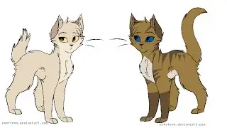 Honeyfern x Berrynose - ( WARRIORS MAP ) You Were Made For Me by Jewel