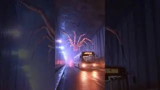 Bus Mein Huye Keede Ka Hamla! 😨 Real Shocking Incident! #InsectAttack #BusIncident